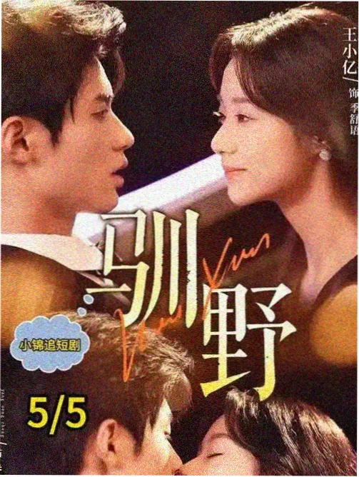 韩剧天堂夜行事务所剧集封面